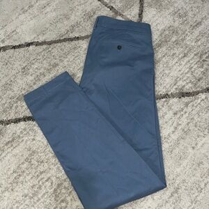 Express Dress Pants
